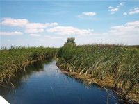 Fotografii Delta Dunarii, foto Delta Dunarii, pictures Danube Delta